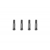 M4 Max Screw / Driver Pin (M2x10.5mm)