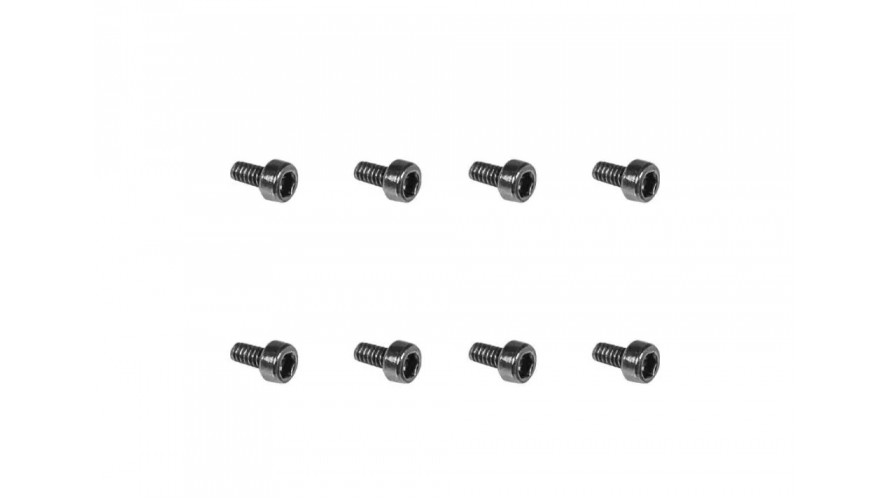M4 Max Screw (M1.6x3mm)